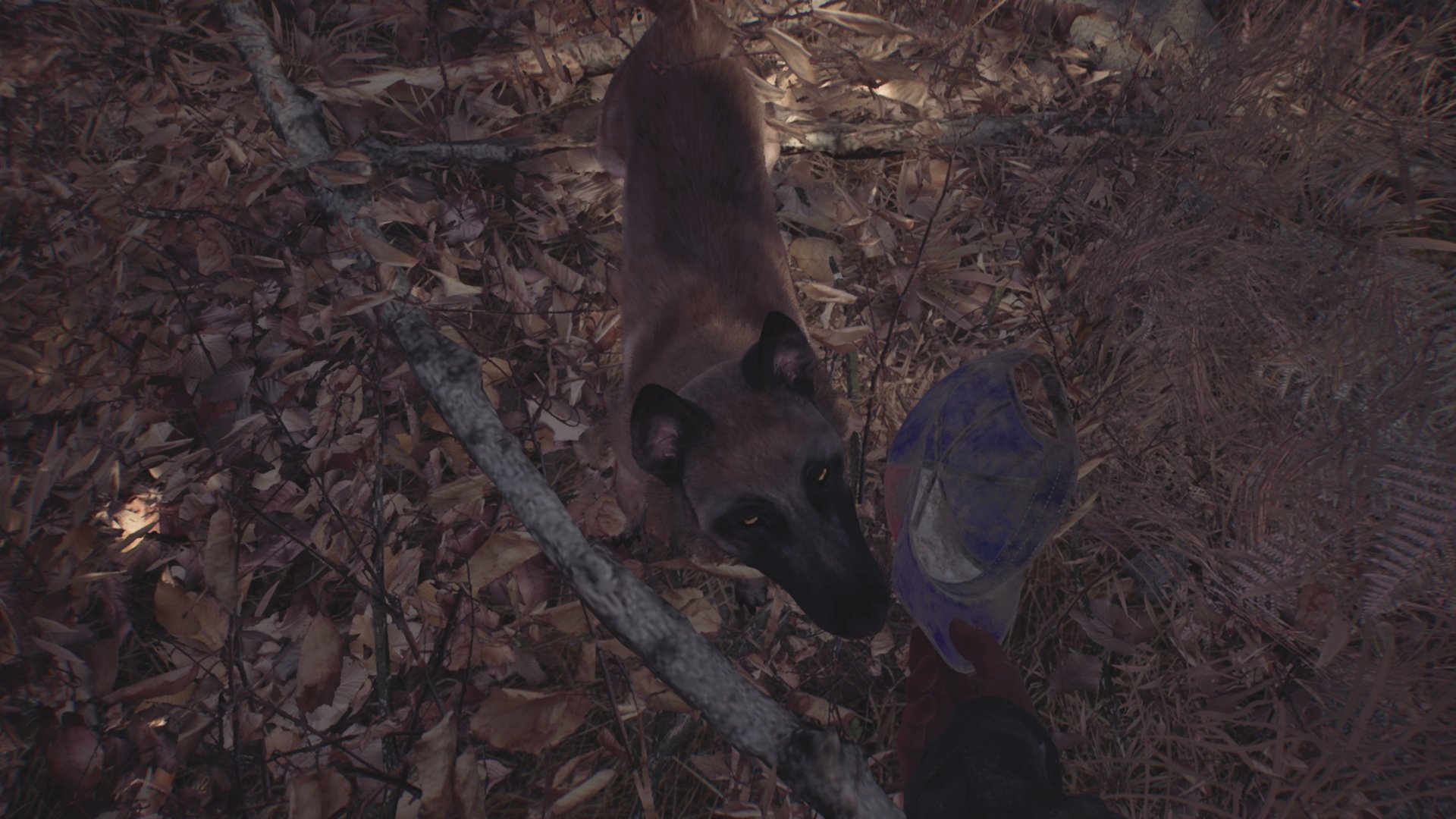 Blair Witch - Imagen 17